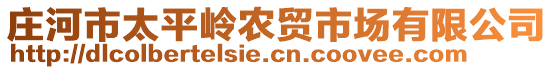 莊河市太平嶺農貿市場有限公司