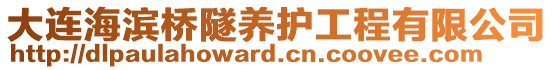 大連海濱橋隧養(yǎng)護工程有限公司