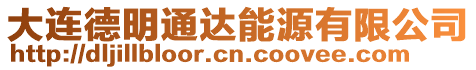 大連德明通達能源有限公司