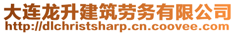 大連龍升建筑勞務有限公司