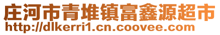 莊河市青堆鎮(zhèn)富鑫源超市