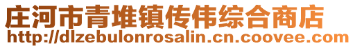 莊河市青堆鎮(zhèn)傳偉綜合商店