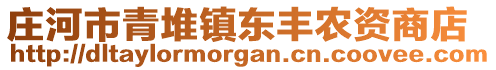 莊河市青堆鎮(zhèn)東豐農(nóng)資商店