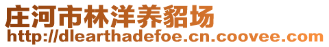 莊河市林洋養(yǎng)貂場