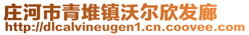 莊河市青堆鎮(zhèn)沃爾欣發(fā)廊