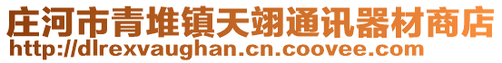 莊河市青堆鎮(zhèn)天翊通訊器材商店