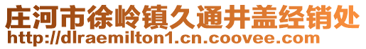 莊河市徐嶺鎮(zhèn)久通井蓋經(jīng)銷處