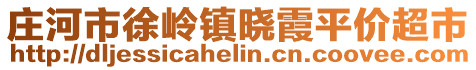 莊河市徐嶺鎮(zhèn)曉霞平價(jià)超市