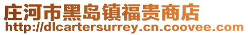 莊河市黑島鎮福貴商店