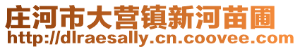 莊河市大營鎮新河苗圃