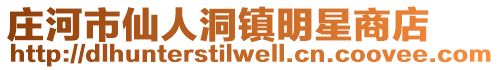 莊河市仙人洞鎮明星商店