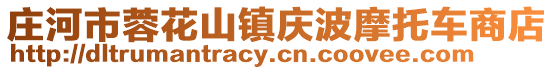 莊河市蓉花山鎮慶波摩托車商店