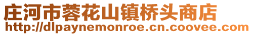 莊河市蓉花山鎮(zhèn)橋頭商店