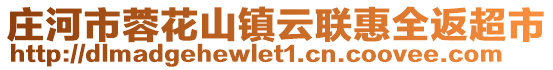 莊河市蓉花山鎮云聯惠全返超市