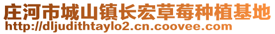 莊河市城山鎮(zhèn)長宏草莓種植基地