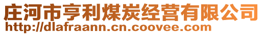 莊河市亨利煤炭經(jīng)營有限公司