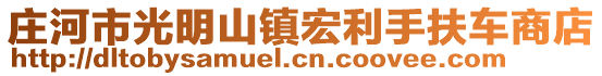 莊河市光明山鎮(zhèn)宏利手扶車商店