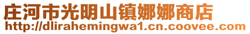 莊河市光明山鎮(zhèn)娜娜商店