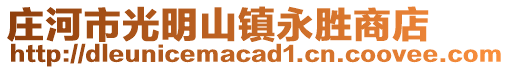 莊河市光明山鎮(zhèn)永勝商店