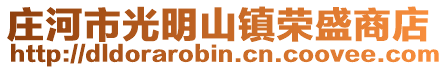 莊河市光明山鎮(zhèn)榮盛商店