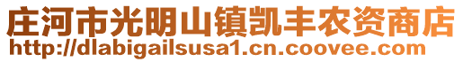 莊河市光明山鎮(zhèn)凱豐農(nóng)資商店