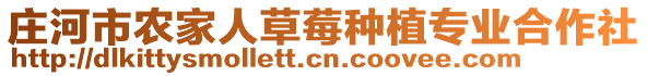 莊河市農(nóng)家人草莓種植專業(yè)合作社