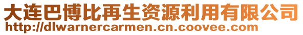 大連巴博比再生資源利用有限公司