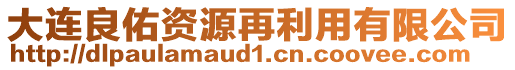 大連良佑資源再利用有限公司