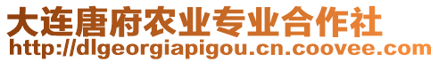 大連唐府農(nóng)業(yè)專業(yè)合作社