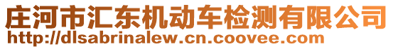 莊河市匯東機動車檢測有限公司