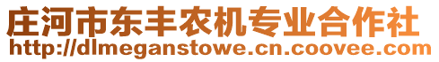 莊河市東豐農(nóng)機專業(yè)合作社