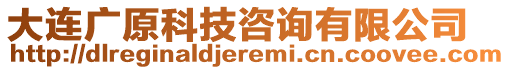 大連廣原科技咨詢有限公司