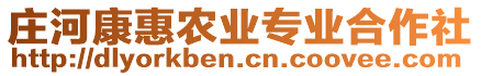 莊河康惠農(nóng)業(yè)專業(yè)合作社