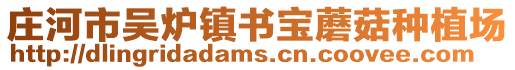 莊河市吳爐鎮(zhèn)書寶蘑菇種植場