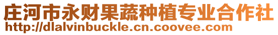 莊河市永財果蔬種植專業(yè)合作社