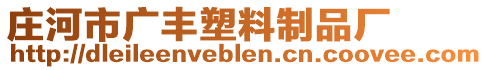 莊河市廣豐塑料制品廠