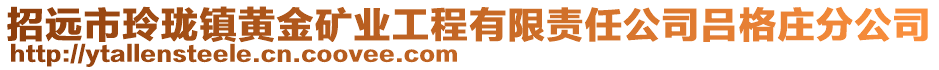 招遠(yuǎn)市玲瓏鎮(zhèn)黃金礦業(yè)工程有限責(zé)任公司呂格莊分公司