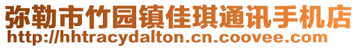 彌勒市竹園鎮(zhèn)佳琪通訊手機(jī)店