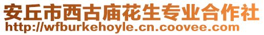 安丘市西古廟花生專業(yè)合作社