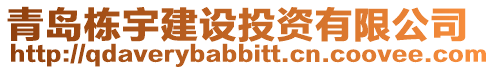 青島棟宇建設(shè)投資有限公司