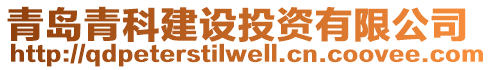 青島青科建設投資有限公司