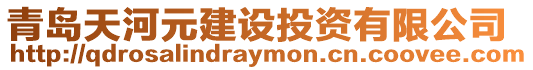 青島天河元建設投資有限公司