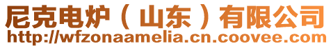 尼克電爐（山東）有限公司