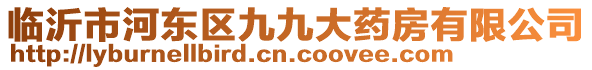 臨沂市河?xùn)|區(qū)九九大藥房有限公司