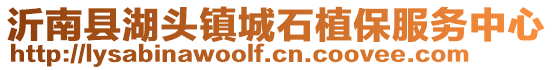 沂南縣湖頭鎮(zhèn)城石植保服務(wù)中心