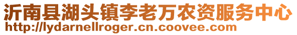 沂南縣湖頭鎮(zhèn)李老萬農(nóng)資服務(wù)中心