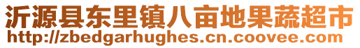 沂源县东里镇八亩地果蔬超市