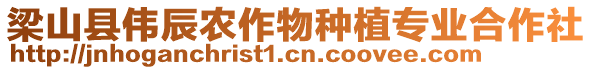 梁山縣偉辰農(nóng)作物種植專業(yè)合作社