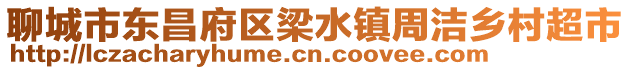 聊城市東昌府區(qū)梁水鎮(zhèn)周潔鄉(xiāng)村超市