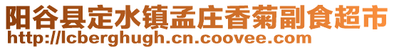 陽(yáng)谷縣定水鎮(zhèn)孟莊香菊副食超市